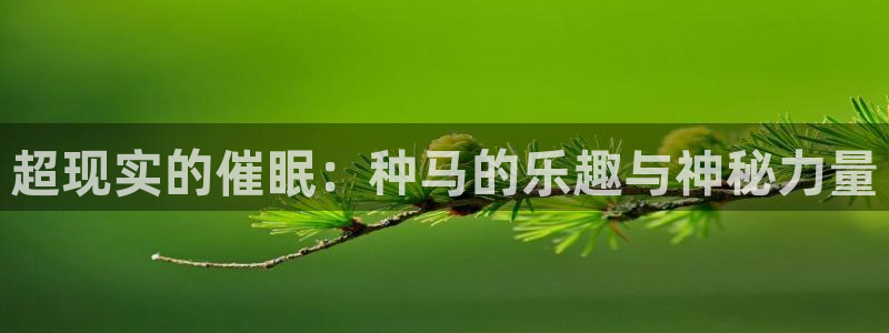 嗨王体育下载苹果：超现实的催眠：种马的乐趣与神秘力量