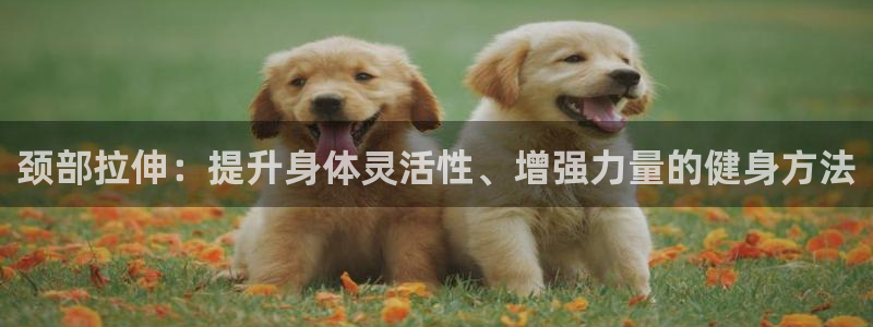 嗨王体育App下载：颈部拉伸：提升身体灵活性、增强力量的健身方法